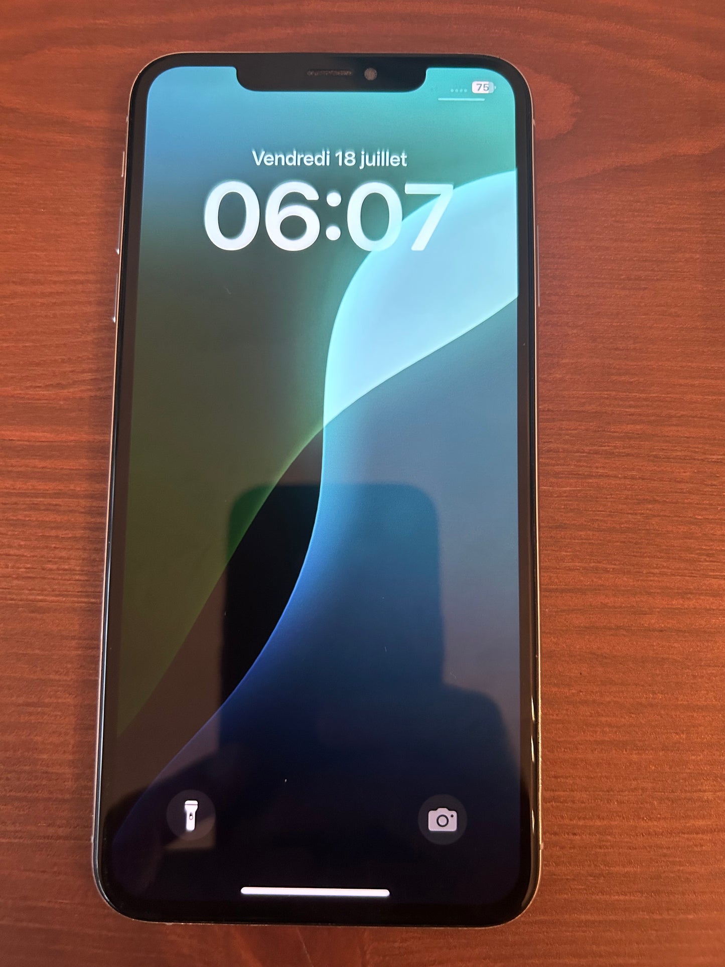 iPhone XS Max Argent 256 Go – Batterie Neuve 100% | Écran Impeccable | Débloqué | Sans Boîte